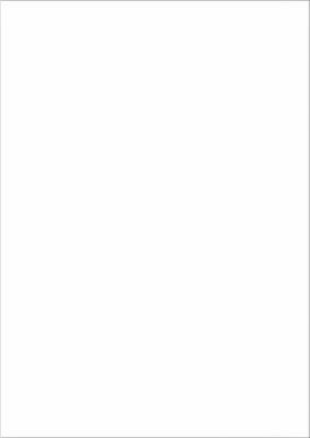 Schäfer Shop Select Power Etiketten 210,0 x 297,0 mm