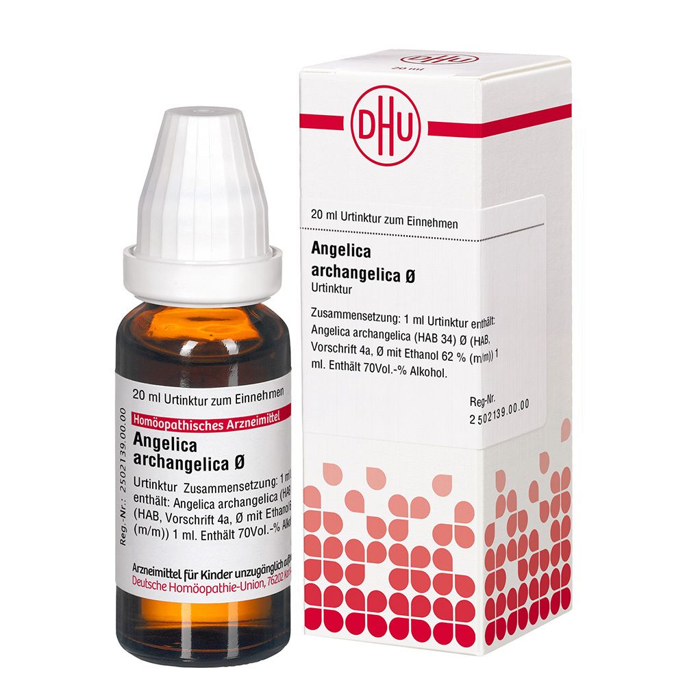 Angelica Archangelica Urtinktur D 1 20 ml Dilution