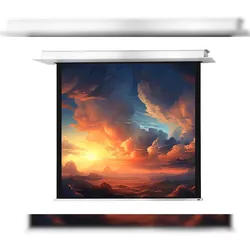celexon Deckeneinbauleinwand Motor Professional Plus 280 x 280 cm