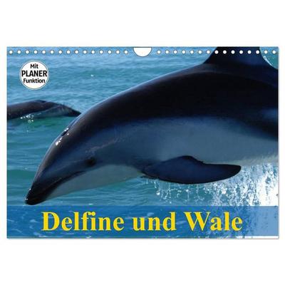 Delfine und Wale (Wandkalender 2027 DIN A4 quer), CALVENDO Monatskalender