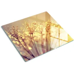 GLASPLATTE 60x52 cm Löwenzahn