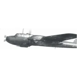 ICM Do 215B-5 WWII German Night Fighter