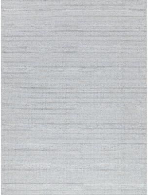 Exquisite Rugs Nova Indoor/Outdoor Flatweave PET yarn Ivory Area Rug.