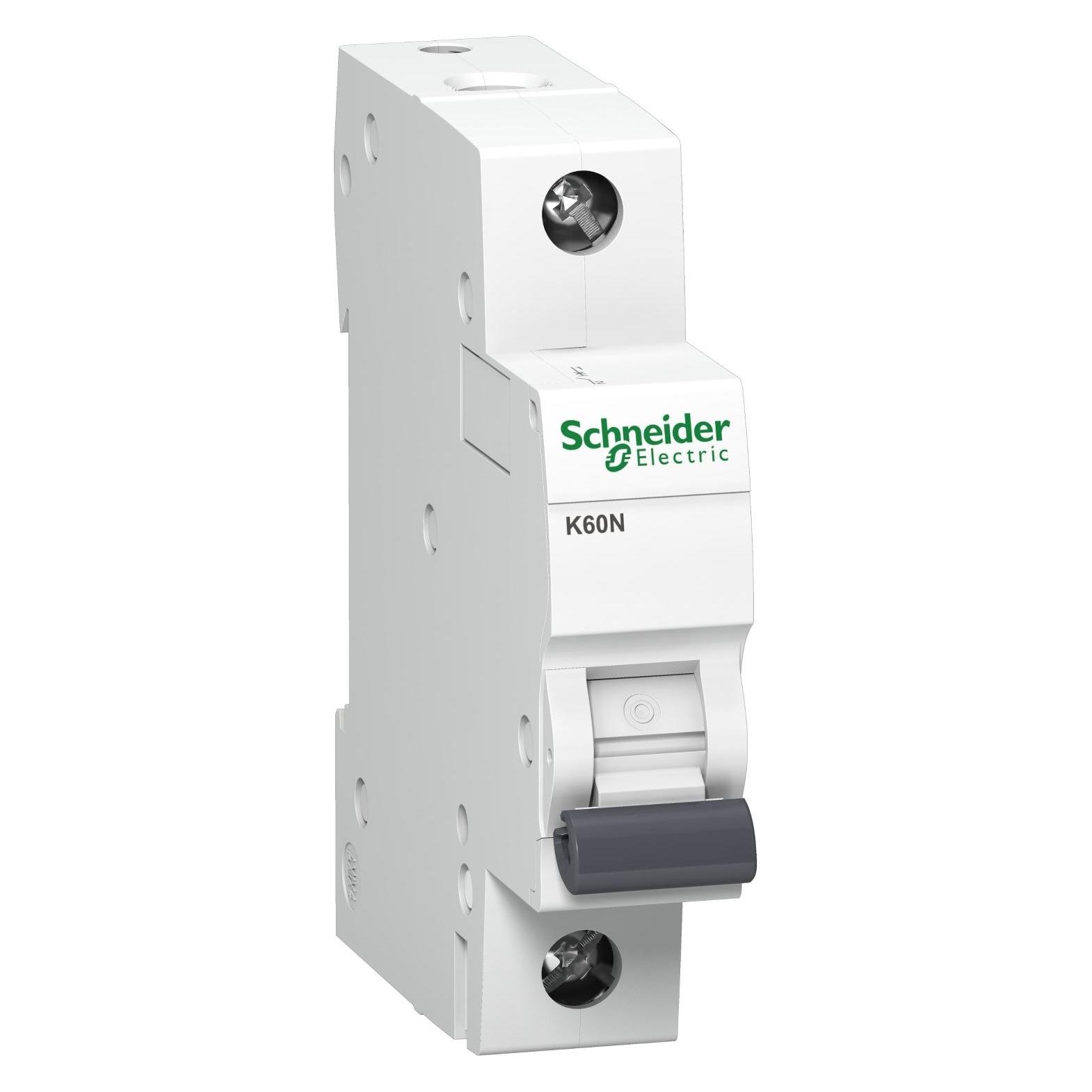 Schneider Electric Schneider A9K01132 Leitungsschutzschalter Acti9 K60N 32A 6 kA Sicherungsautomat (A9K01132)