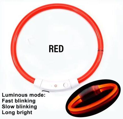 Quick Pick Pro USB Rechargeable LED Dog Collar Glow In The Dark Pet Safety Collar red m