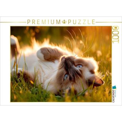 CALVENDO Puzzle Heilige Birma - Ein Platz an der Sonne | 1000 Teile Lege-Größe 64 × 48 cm Foto-Puzzle für glückliche Stunden, von , Calvendo Puzzle