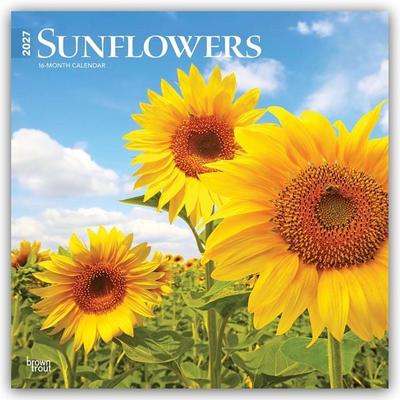 Sunflowers – Sonnenblumen 2027 – 16-Monatskalender