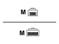 UNIFY Anschlussschnur 6 m MW6/MW6 L30250-F600-A592
