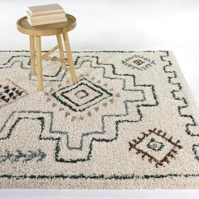 Balta Rugs Eugenia Global Shag Area Rug