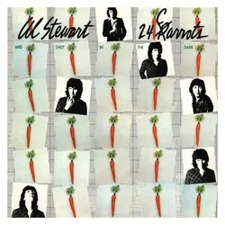 Stewart:24 Carrots, 40th Ann.Ed.CD, Schallplatten