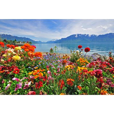 Fototapete PAPERMOON "BLUMEN-DESIGN NATUR LANDSCHAFT GEBIRGE BERGE ALPEN SEE", bunt, B:4,5m L:2,8m, Vlies, Tapeten