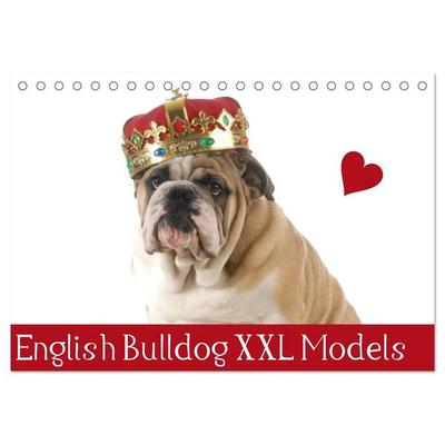 English Bulldog XXL Models (Tischkalender 2027 DIN A5 quer), CALVENDO Monatskalender