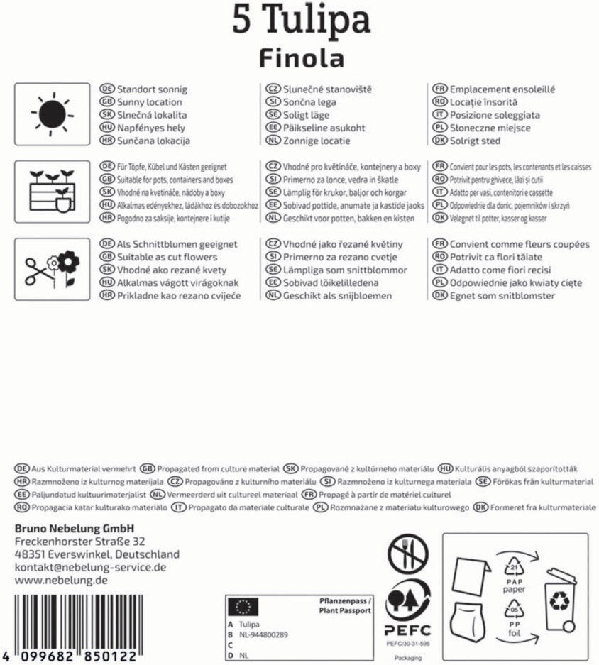 Kiepenkerl Herbstblumenzwiebel Profi-Line Tulpe Finola 5 Stück