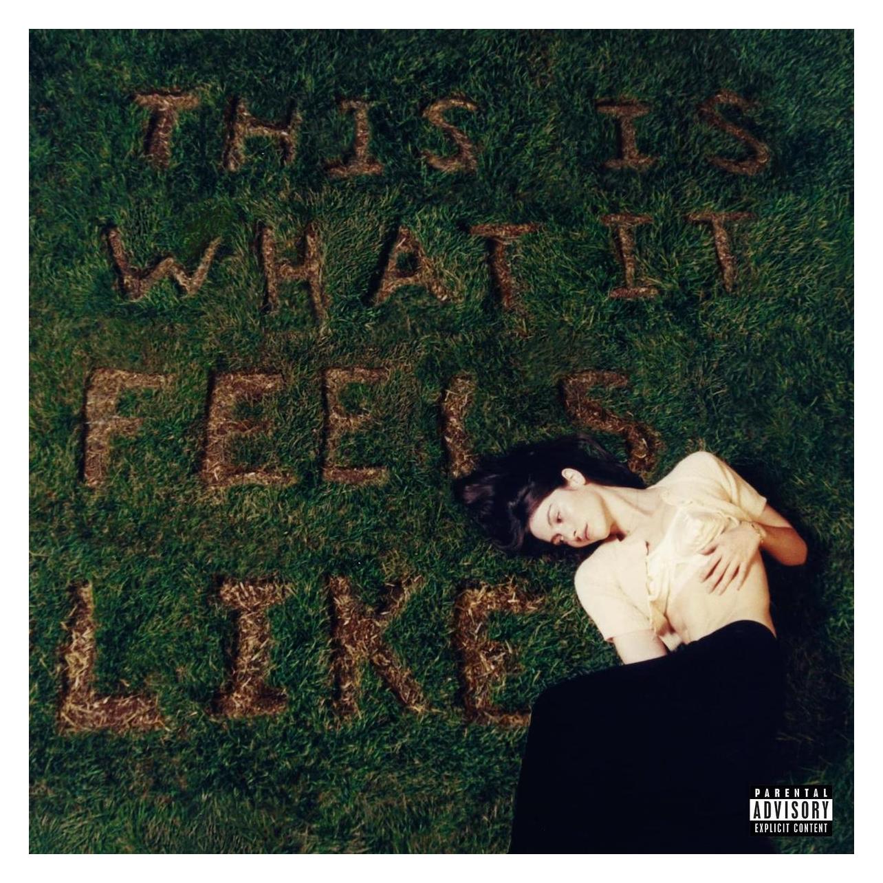 Interscope This Is What It Feels Like (Vinyl) (Gracie Abrams) (40255760)
