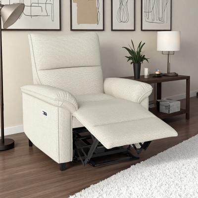 Recliner Chair with Electric Reclining, Wall-Hugger Design & USB Type-C Port for Living Room, Bedroom, Apartment & RV