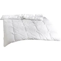 Traumschlaf, Duvet, Thinsulate 3M Thinsulate (1600 g, Polyester, 200 x 200 cm)
