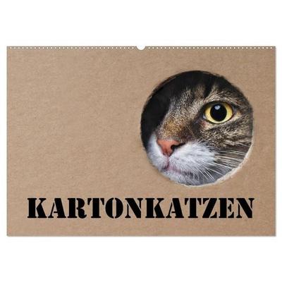 Karton Katzen (Wandkalender 2027 DIN A2 quer), CALVENDO Monatskalender