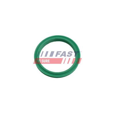 FAST Dichtring, Ladeluftschlauch FT48962 für DACIA INFINITI