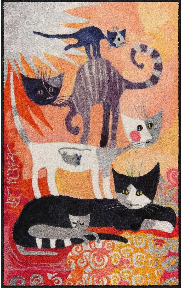 Woonmat Deurmat Schoonloopmat Entree Oranje - 75 x 120 cm