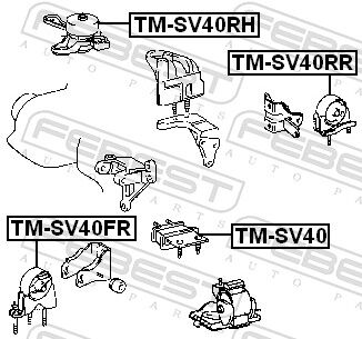 Febest Lagerung, Motor Tm-Sv40rr Hinten Für Toyota