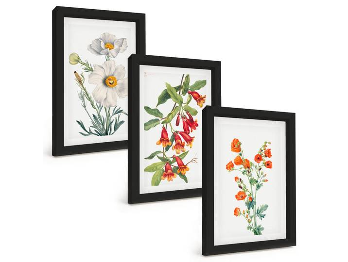 Tulup Bilder SET 3er Set - 20x30 cm Schwarzer Rahmen - Retro-Blumenarrangements, Kunststoff, Rechteckig, 20x30 cm, gerahmt, Bilder & Rahmen, Bilder