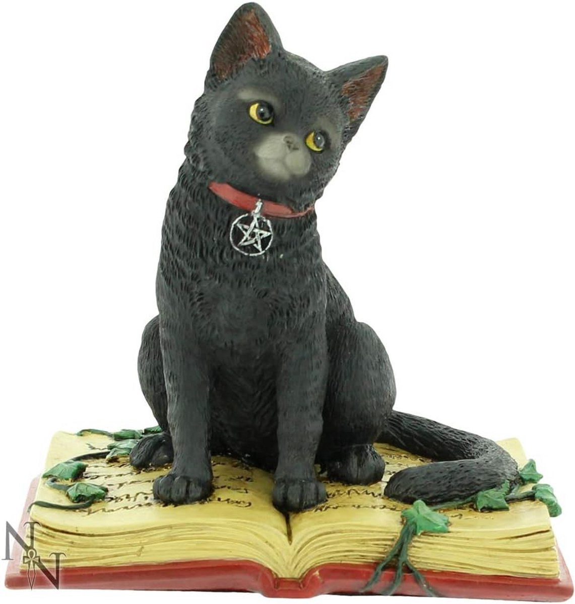 Zwart Wicca Pentagram Figuur Heks Decoratie 16 cm