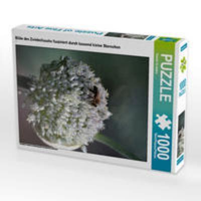 CALVENDO Puzzle Blüte des Zwiebellauchs fasziniert durch tausend kleine Sternchen 1000 Teile Lege-Größe 48 x 64 cm Foto-Puzzle Bild von Renate