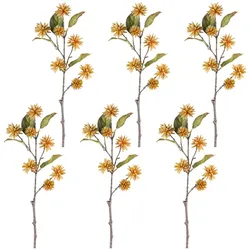 CREATIV green künstliche Pflanze Glücksbaum, 73cm, zimt, 6er Set