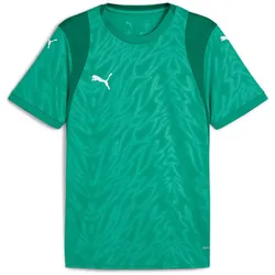 PUMA teamCUP Trikot Herren 05 - sport green/puma white/power green 3XL