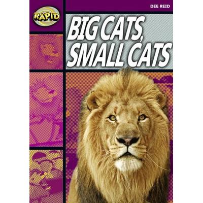 Rapid Reading: Big Cats Small Cats (Stage 1, Level 1a), Taschenbuch von Dee Reid, Pearson ELT, 978-0-435-90784-6