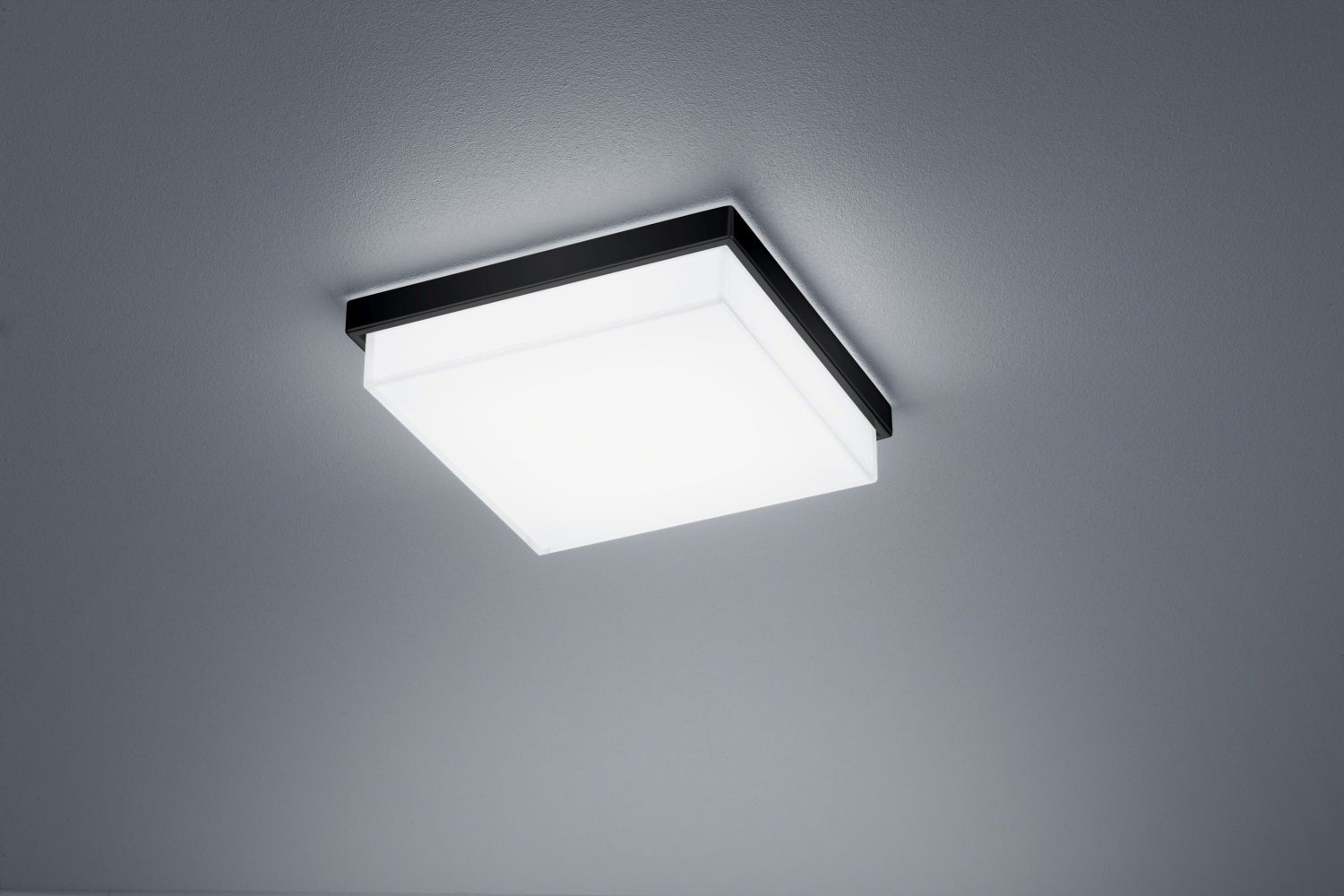 Helestra LED-Deckenleuchte COSI 21x21m schwarz 15/1906.22 4022671108508