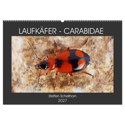 LAUFKÄFER - CARABIDAE (Wandkalender 2027 DIN A2 quer), CALVENDO Monatskalender