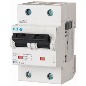 Eaton LS-schakelaar 80A 2-polig type D 211823