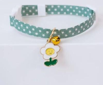 Uplifted Finds New Adjustable Kitten Collar With Breakaway Safety Buckle And Bell 7