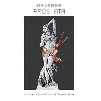 Prostata, Gebundene Ausgabe von Bernd Fleissner, BoD – Books on Demand, 978-3-7597-9615-8