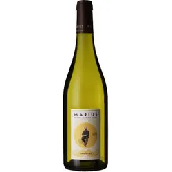 Marius Blanc 2025 by M. Chapoutier - 0.75L