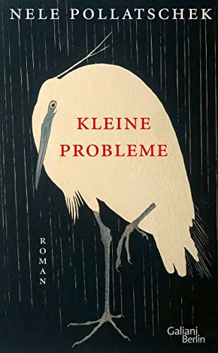 Nele Pollatschek - Kleine Probleme: Roman - Preis vom 06.10.2026 07:26:00 h