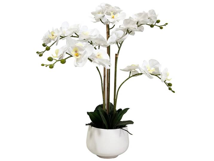 Kunstblume SHELLY