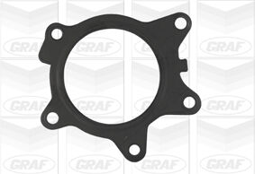 Graf Wasserpumpe Pa890 Für Toyota Mini