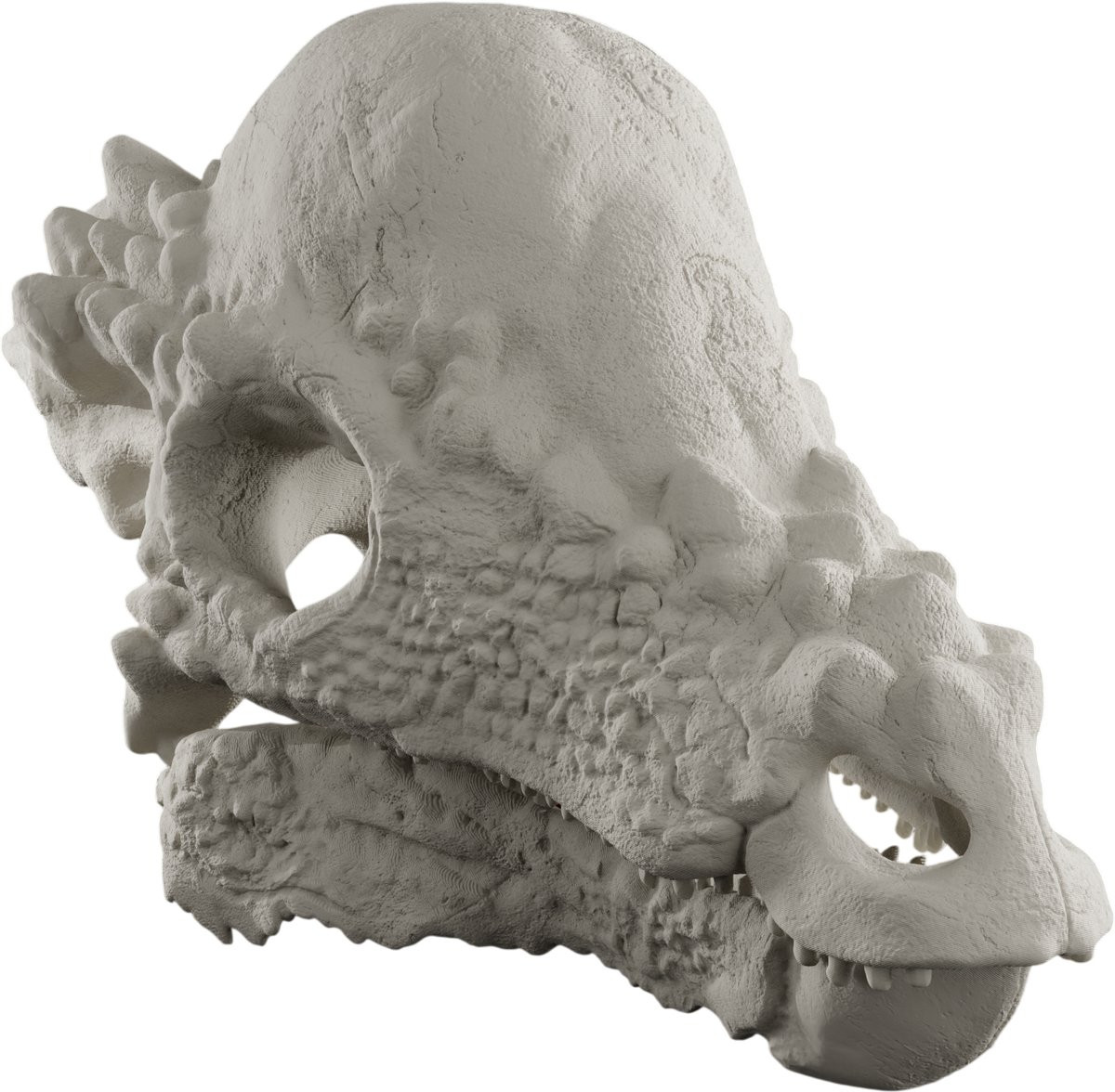 Pachycephalosaurus Schedel Replica - Anatomisch Model van een Dinosaurus - Decoratieve Bot-look Schedel - 50 cm