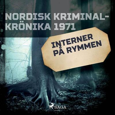 Interner på rymmen - Svenska Polisidrottsförlaget, Audio, 9788728034002