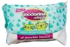 Pet Village Inodorina Salviette Muschio40p