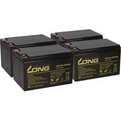 Kung Long WP15-12NSE Akku-Satz 48V 15Ah für Forca Bossman-S 20 – 4x 12V AGM M5