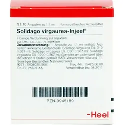 SOLIDAGO VIRGAUREA INJEEL Ampullen 10 St