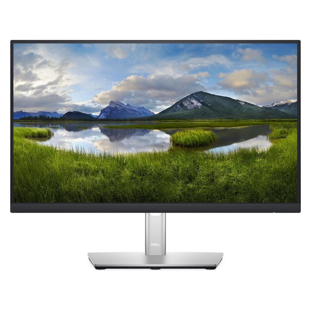 Dell P2222H (1920 x 1080 Pixel, 21.50") (DELL-P2222HWOS)