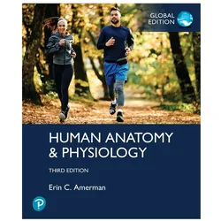 Human Anatomy & Physiology, Global Edition, Fachbücher von Erin C. Amerman, Erin Amerman