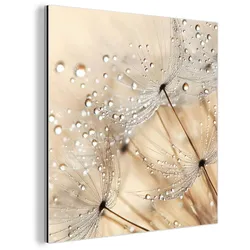 METALLBILD Löwenzahn - Abstrakt - Natur - Beige 50x50 cm