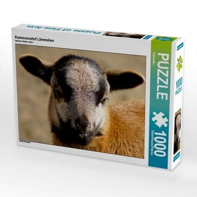 CALVENDO Puzzle Kamerunschaf Lämmchen | 1000 Teile Lege-Größe 64x48cm Foto-Puzzle für glückliche Stunden