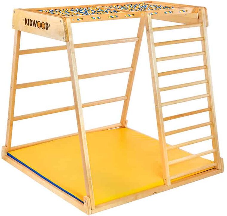 Monkey-Gym Aire de jeux intérieure Domino