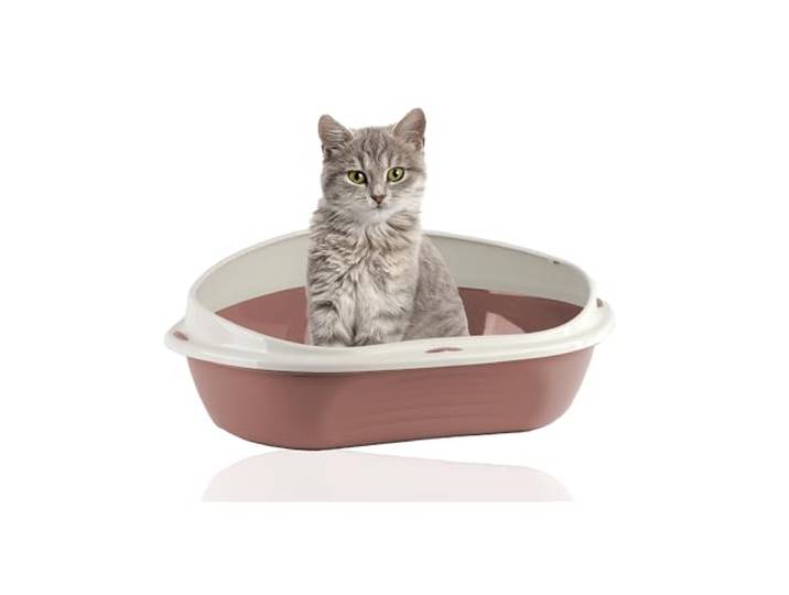 Rohrschneider Eckiges Katzenklo, mit hohem Rand, Ecktoilette, groß (Rosa)